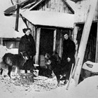 Lucille Martin, a friend and dogs, Susitna Station, Alaska, 1916.