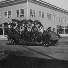 An ornately decorated 1919 Labor Day parade float passes by the Lathrop Building in downtown Anchorage.  The first floor of the building was built in 1915; the second floor was added in 1916-1917.  The first floor was designed to hold five businesses; the second floor included apartments and professional offices.   From time to time Austin E. "Cap" Lathrop lived in one of the apartments.